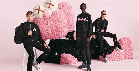 kaws x dior sweatshirt|dior x kaws shoes.